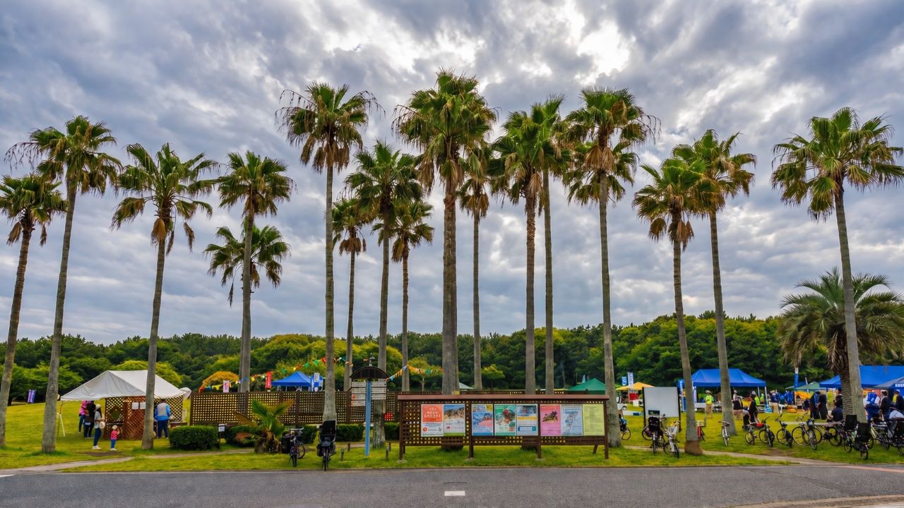 【活動報告】サバイバル・ファーストエイド！辻堂海浜公園で学ぶ応急手当と熱中症対策